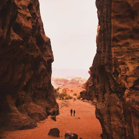 Malak Rum Luxury Camp Wadi Rum Exterior photo